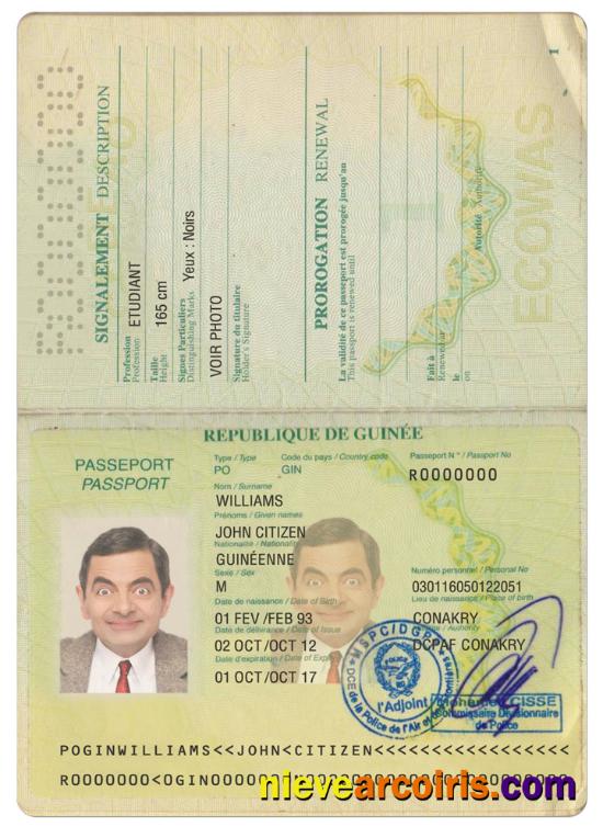 Guinea passport version 2